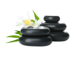 Smooth black stones stacked atop each other with a white flower and green leaves, serene, against a solid black backdrop