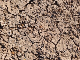 cracked earth background