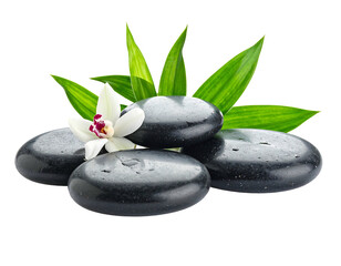 Smooth black stones with orchid and green leaves against a black backdrop