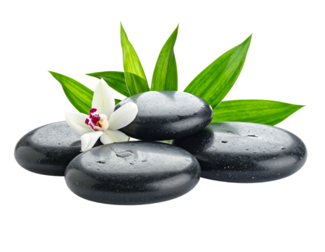 Smooth black stones with orchid and green leaves against a black backdrop