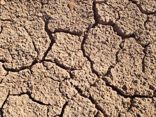 cracked earth background