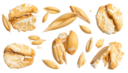 Isolated oat groats, flakes, and husks on black background