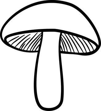Simple mushroom outline illustration, black line art on white background