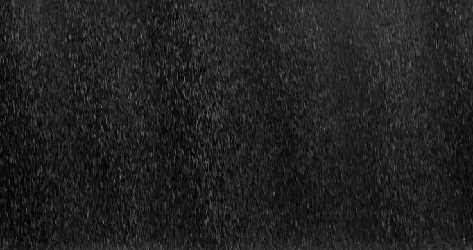 heavy rain looping over black background. Isolated Rain Loop on Black and green screen