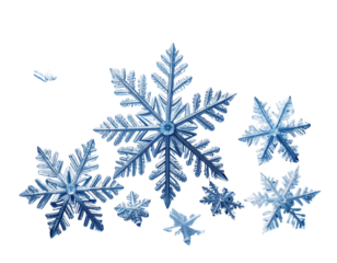 Collection of white snowflakes