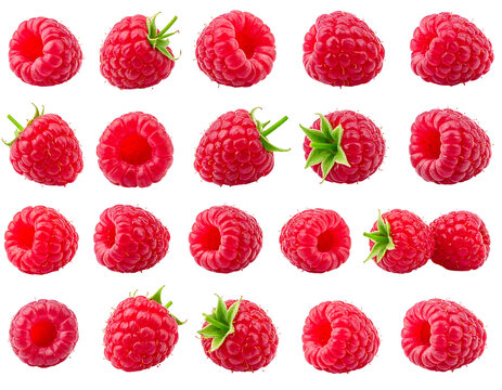 Rows of red raspberries with small green stems, presented on a black background in a neat grid pattern