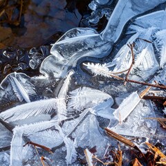 Frost feathers on frozen forest stream surface with smooth ice and trapped twigs