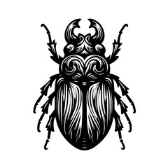 Detailed black and white illustration of a stylized beetle, front view.
