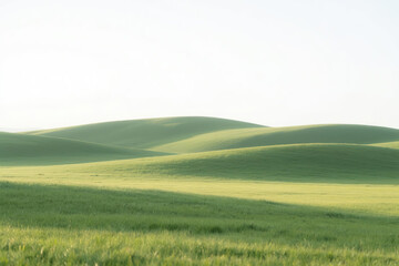 Obraz premium Vast expanse of lush green meadow with dense grass under sunlight, rolling hills in distance under clear white sky, serene and open landscape concept.