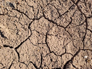 dry cracked earth