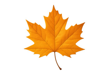 Fototapeta premium Vibrant orange maple leaf isolated on transparent background