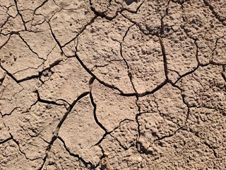 dry cracked earth