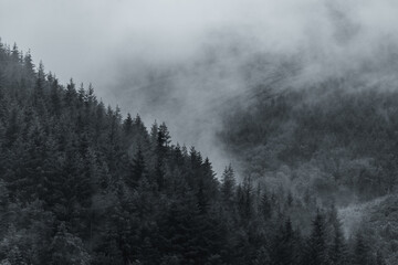 Scenic road leading through a forest and rolling hills towards misty mountains, bathed in soft sunlight. A perfect drive through nature s tranquility and beauty.