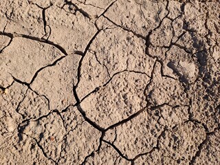 dry cracked earth
