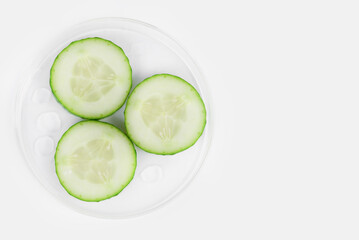 Natural freshness: cucumber pieces in laboratory glass dish, copy space.