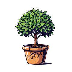 Obraz premium Potted tree with green leaves and visible roots