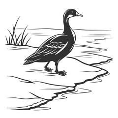 Black and white goose standing on ice