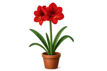 Naklejka premium Bright red amaryllis blossom in terracotta pot with green leaves