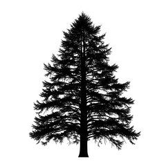 Abstract textured black and white tree silhouette formations transparent background