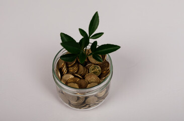 Image showing a plant growing from a jar full of coins, symbolizing financial growth, investments, and saving money. The concept of financial we