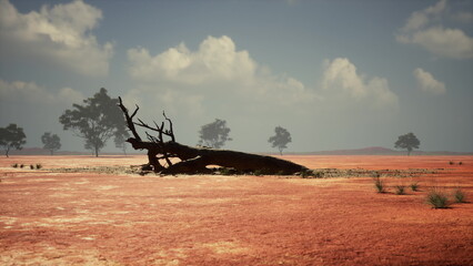 Fototapeta premium Barren terrain stretches under a vast sky, featuring a prominent fallen tree with dry branches. Sparse vegetation dots the ground, creating a haunting yet beautiful scene of natures resilience.