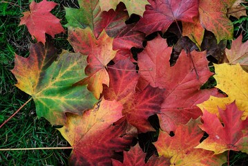 Autumn Fall Colors Landscape with Red Yellow and Green Trees Reflected in Calm Water | Colorful Foliage, Reflection, and Serene Nature Scene Showing Seasonal Beauty of Fall
