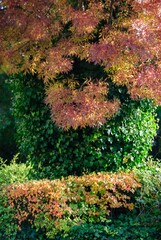 Autumn Fall Colors Landscape with Red Yellow and Green Trees Reflected in Calm Water | Colorful Foliage, Reflection, and Serene Nature Scene Showing Seasonal Beauty of Fall

