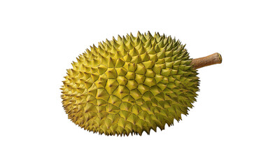 Spiky Yellow Durian Fruit isolated on a transparent background