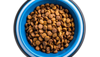 Overhead shot of a filled blue pet bowl with dry brown food on a black background