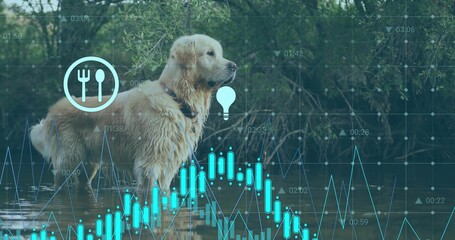 Wading golden retriever navigating creek water at wooded stream bank, with digital data overlays