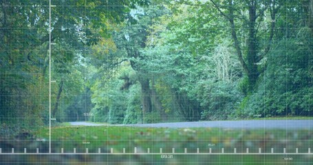 Cutting paved asphalt road slicing through woodland, with grassy verge, fallen leaves and foliage