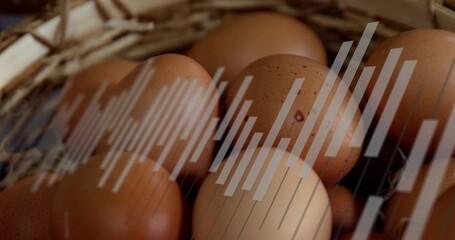 Cluster of brown eggs nestling in wicker basket in pantry, with straw lining and graphic bars © vectorfusionart