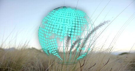 Floating turquoise dotted wireframe globe hovering above beige grasses in grassland, with hologram
