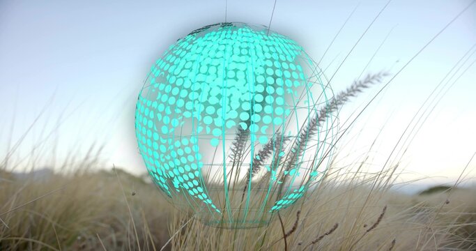 Floating turquoise dotted wireframe globe hovering above beige grasses in grassland, with hologram