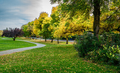 Naklejka premium Lake Park Fall Colors 6