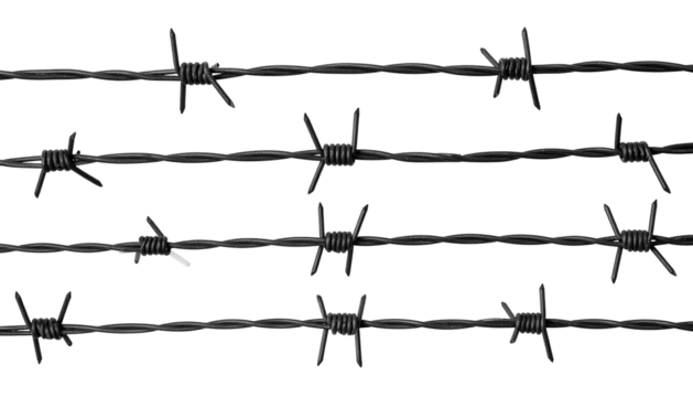 Close-up of several strands of barbed wire against a black background