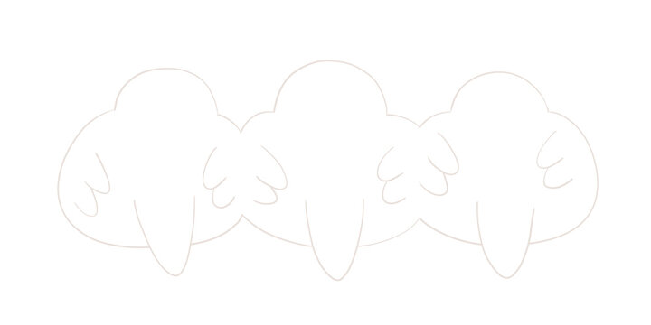 白文鳥　後ろ姿