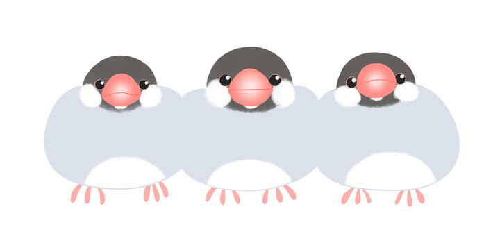 ぶんちょう Images – Browse 84 Stock Photos, Vectors, and Video