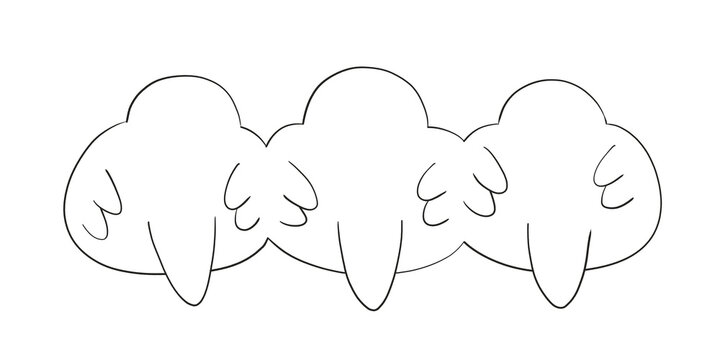 白文鳥　後ろ姿