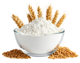 Wheat Flour in Glass Bowl with Ears and Grain Variations, isolated on a transparent background.