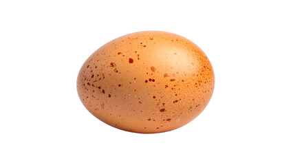 A speckled brown egg isolated on a black background, smooth surface, oval shape