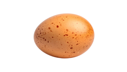 A speckled brown egg isolated on a black background, smooth surface, oval shape
