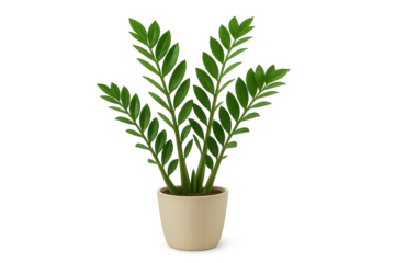 Lush green leafy plant in beige pot with multiple tall stems