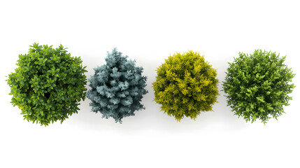 Fototapeta premium Green tree isolated on a white background with a small bunch of purple flowers