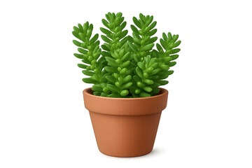 Small jade succulent in round terracotta pot with bright green fleshy leaves