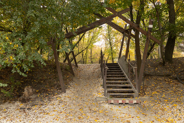 Wooden staircase in autumn forest