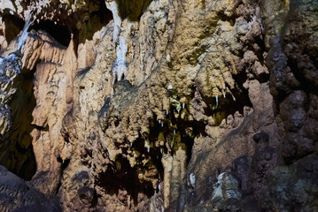 Vadu Crisului Cave in Bihor, Romania, features impressive limestone formations. Stalactites hang from the ceiling, while stalagmites rise from the floor, some meeting to form columns