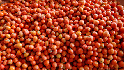 A large pile of ripe red tomatoes showcasing their vibrant color and fresh texture ready for harvest and consumption