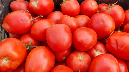 An abundant collection of bright red plump tomatoes piled high highlighting their natural beauty and freshness ideal for a variety of dishes and recipes