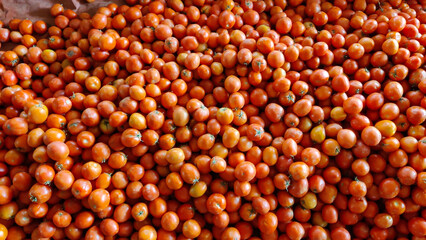 An abundant collection of small ripe red tomatoes piled high offering a vibrant visual of fresh healthy produce ready for consumption